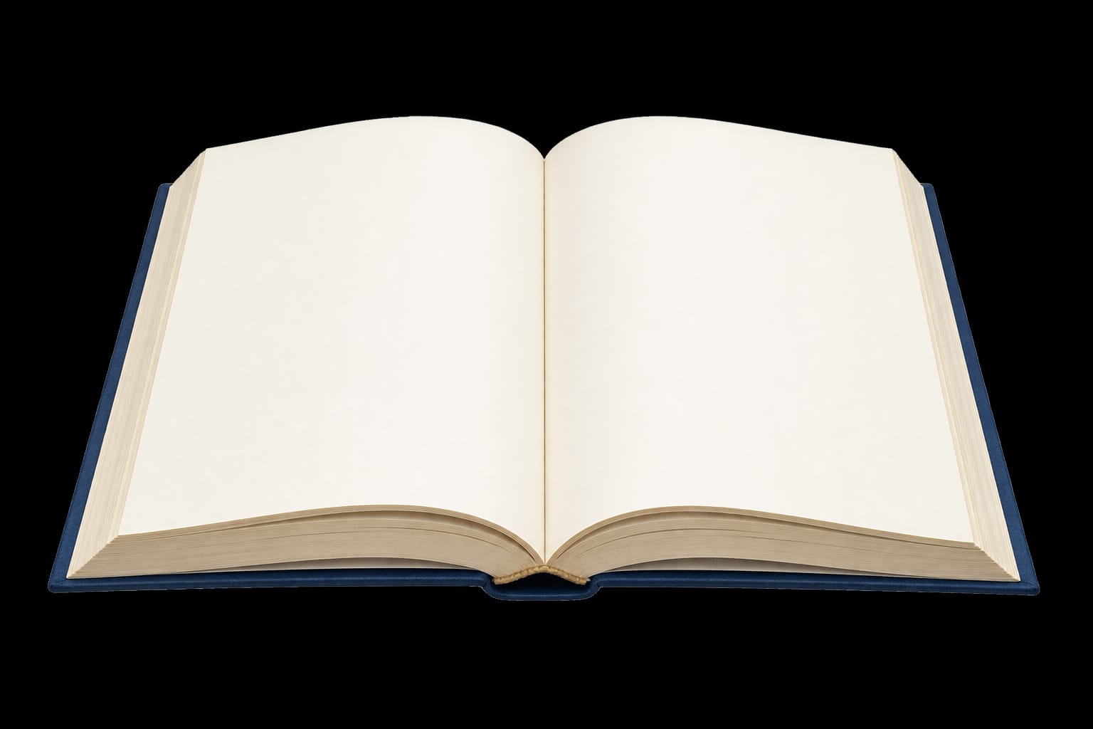Syllabus